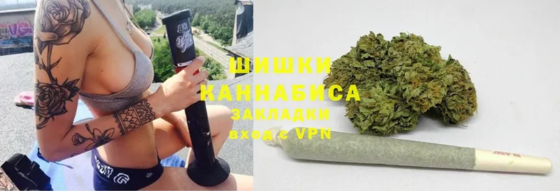 где купить наркоту  mega ссылка  Канабис OG Kush  Каргополь 